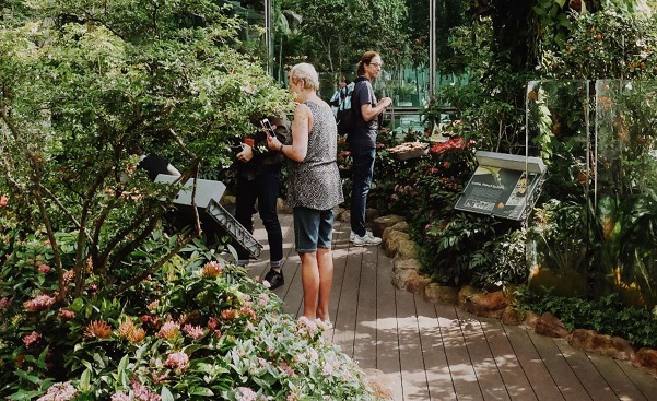 Aviation & Tourism Jump-Starting Leisure From African Airports African Airports can provide environment for relaxation within..